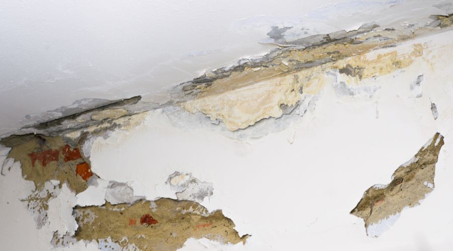 How To Repair Water Damaged Drywall?