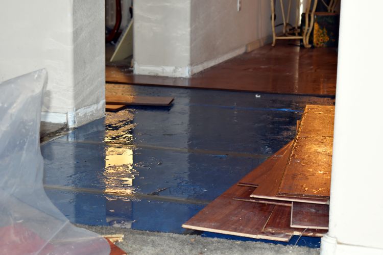 How To Fix Water Damage On Wood Floor?