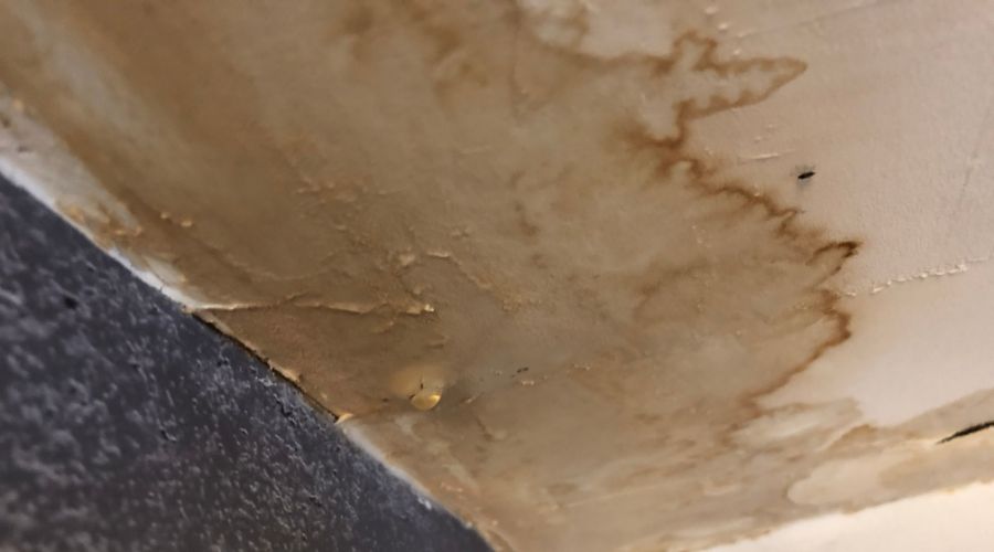 How To Repair Water Damaged Ceiling Plaster?